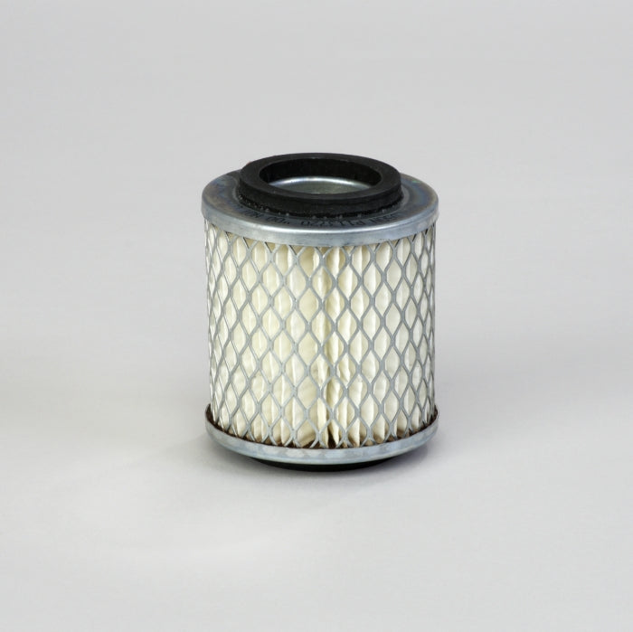 Donaldson Air Filter P113720