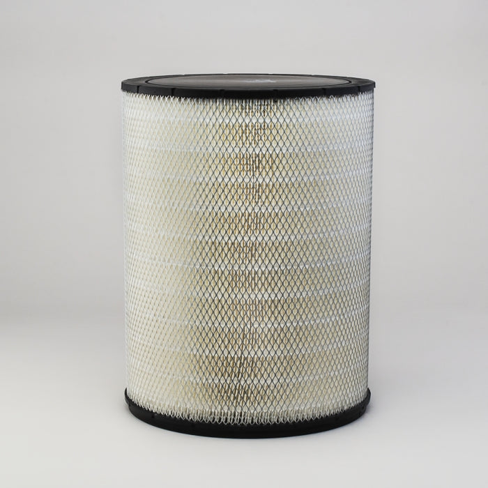 Donaldson Air Filter P181109