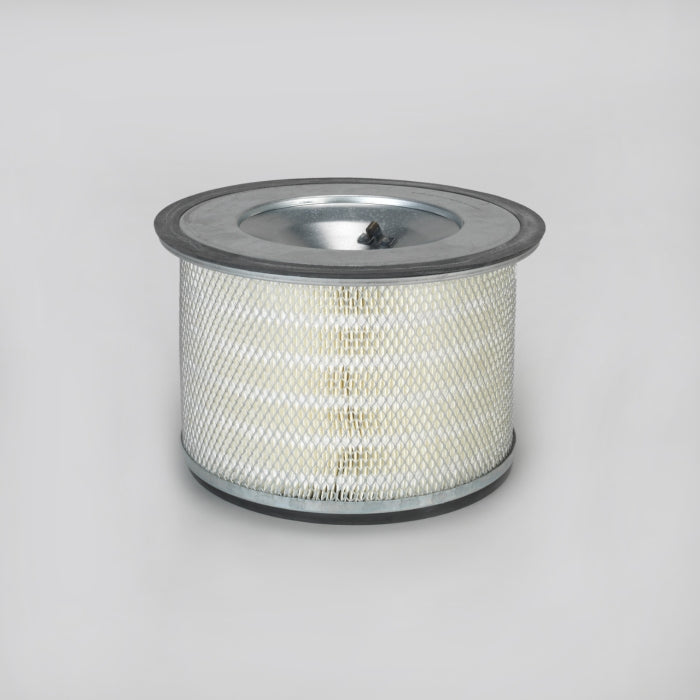 Donaldson Air Filter P181113
