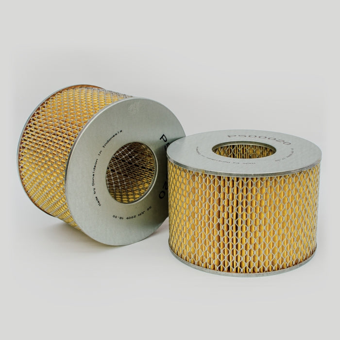 Donaldson Air Filter P500020