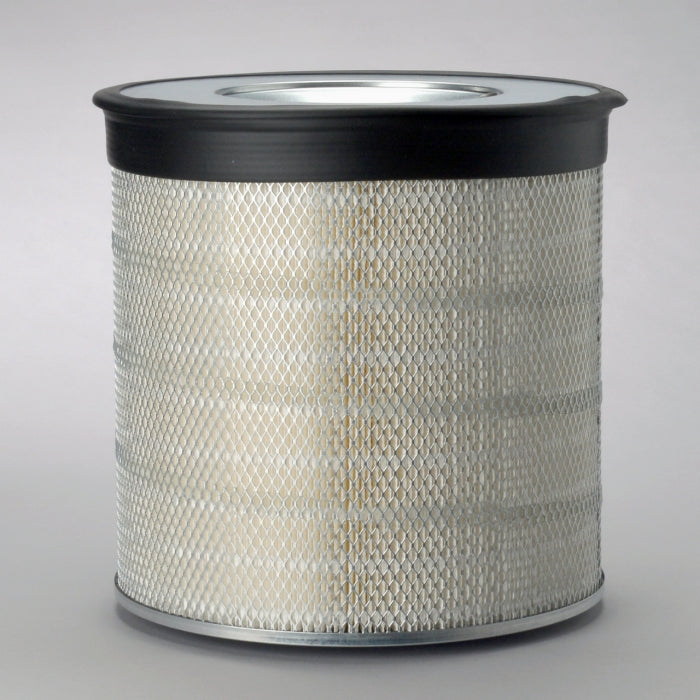Donaldson Air Filter P522874