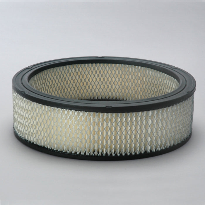 Donaldson Air Filter P524355