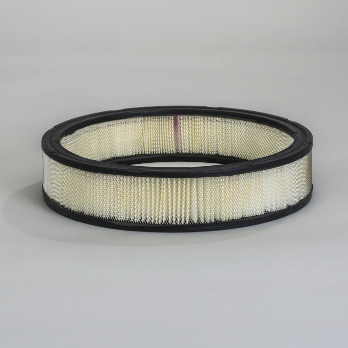 Donaldson Air Filter P524357