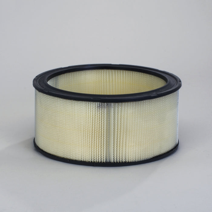 Donaldson Air Filter P524369