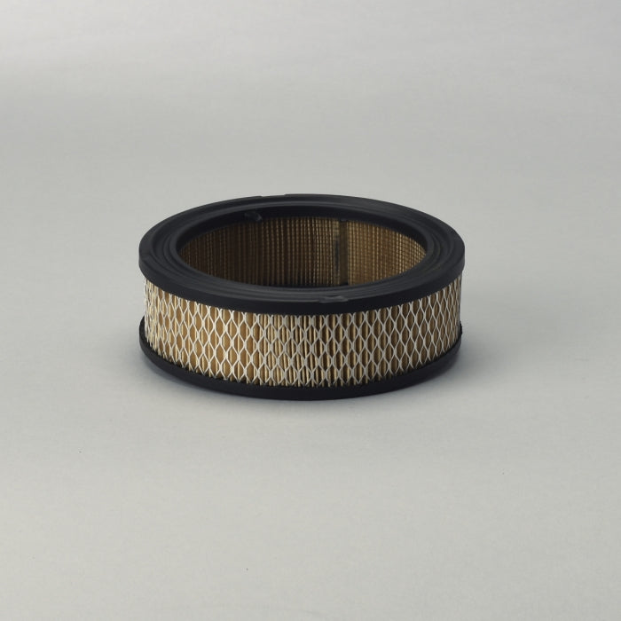 Donaldson Air Filter P528231