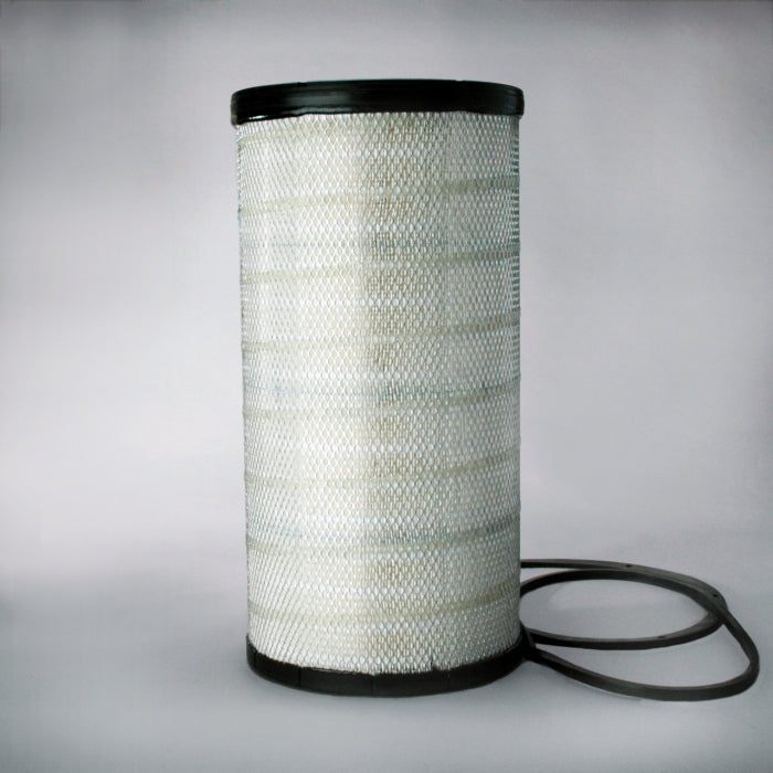 Donaldson Air Filter P534925