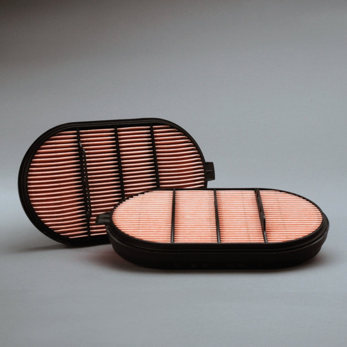 Donaldson Air Filter P601560