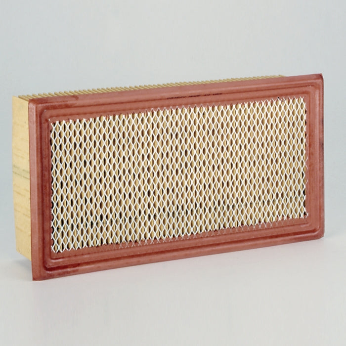 Donaldson Air Filter P602658