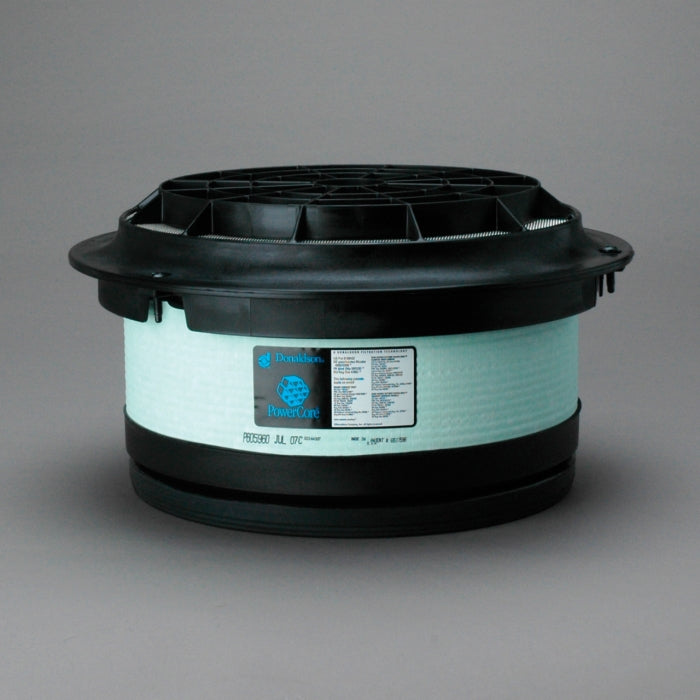 Donaldson Air Filter P605960