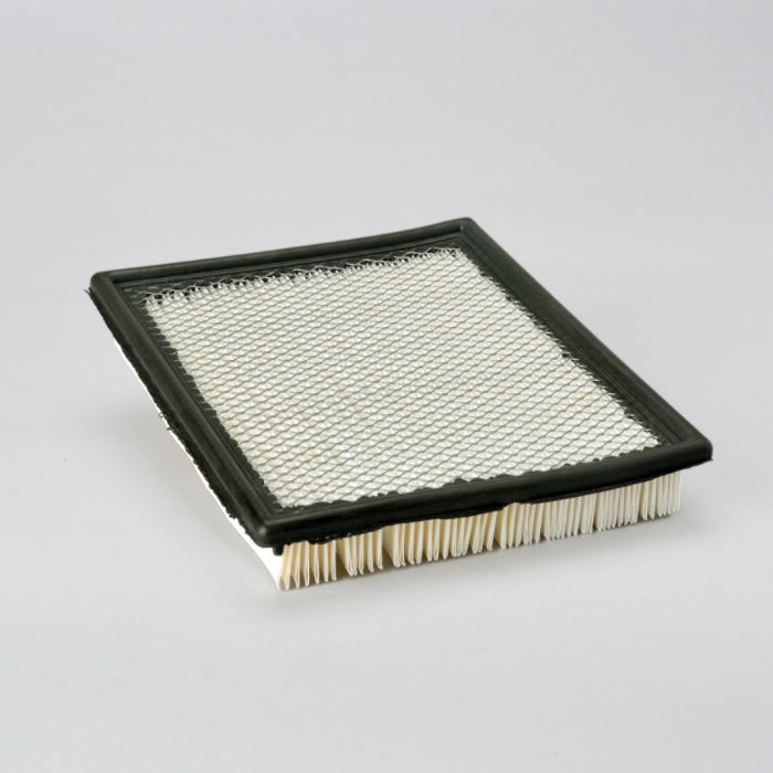Donaldson Air Filter P606063
