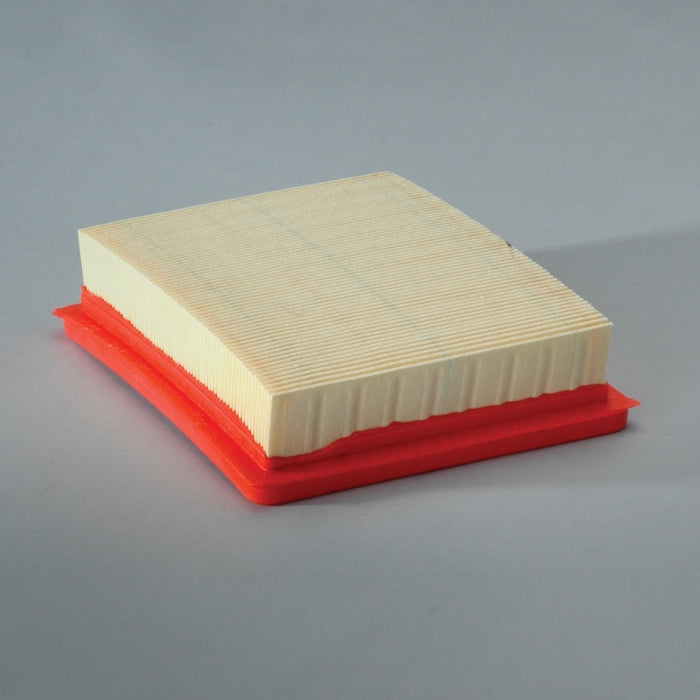 Donaldson Air Filter P606219