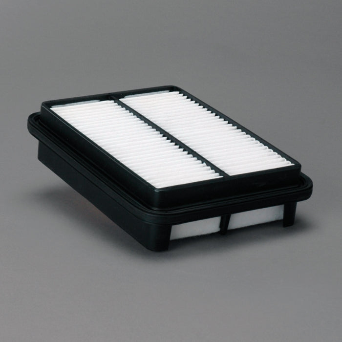 Donaldson Air Filter P606272