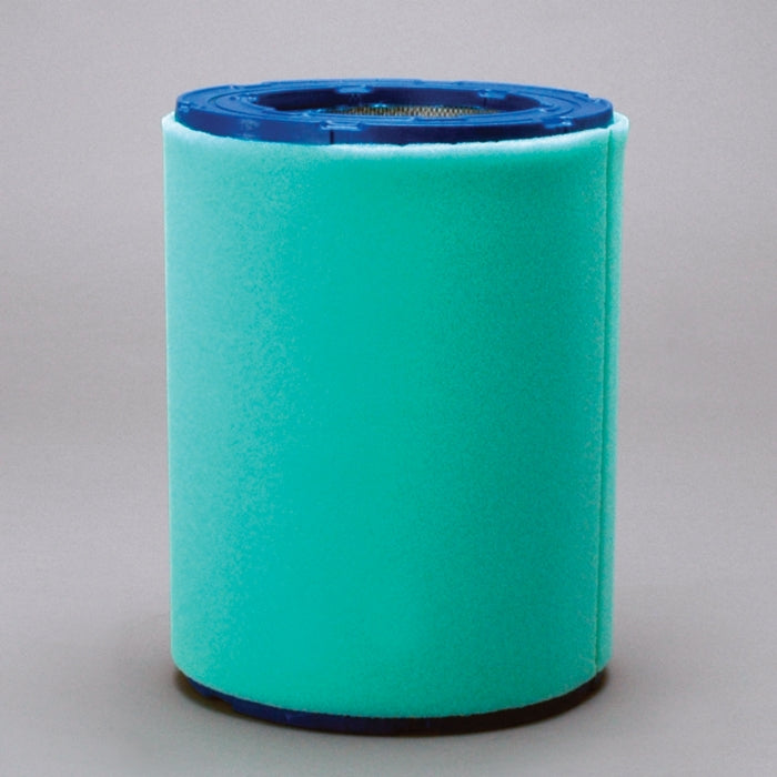 Donaldson Air Filter P606280