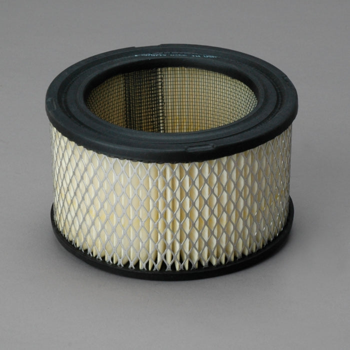 Donaldson Air Filter P607234