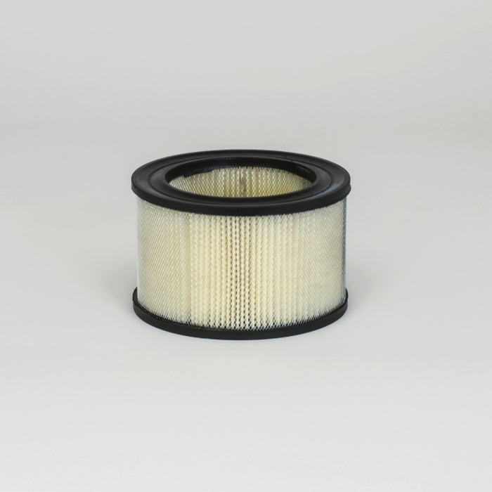 Donaldson Air Filter P607248