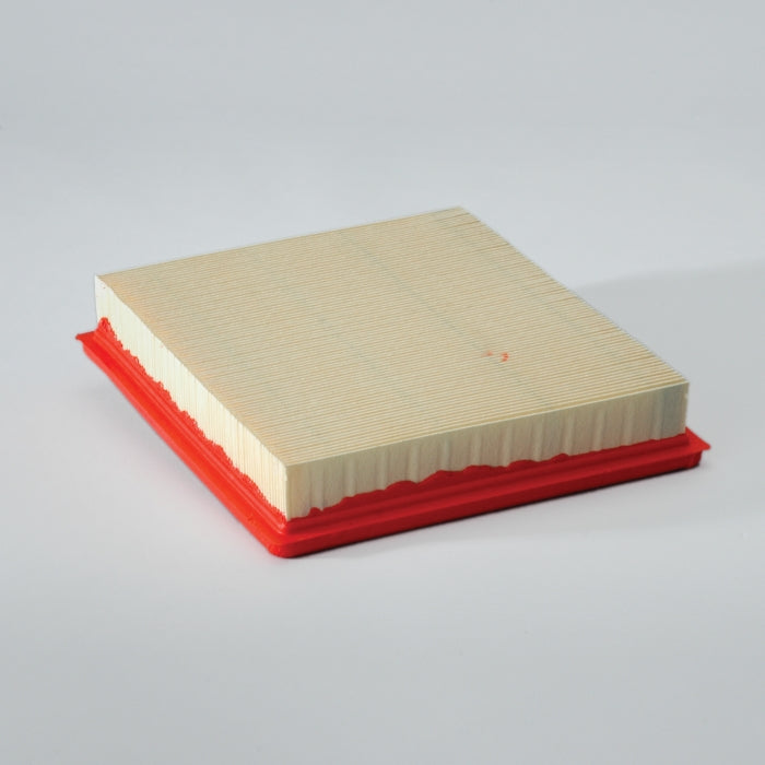 Donaldson Air Filter P607253
