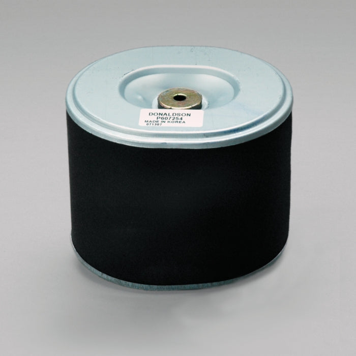 Donaldson Air Filter P607254