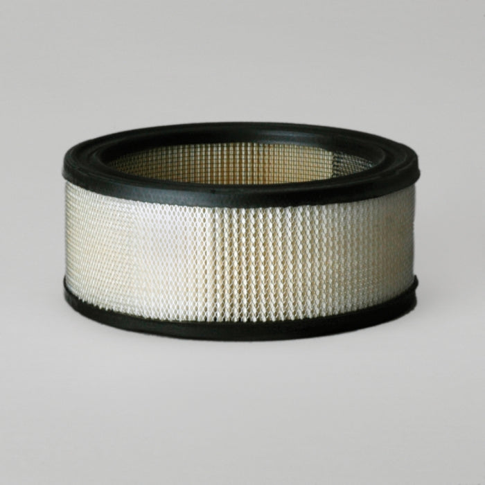Donaldson Air Filter P607255
