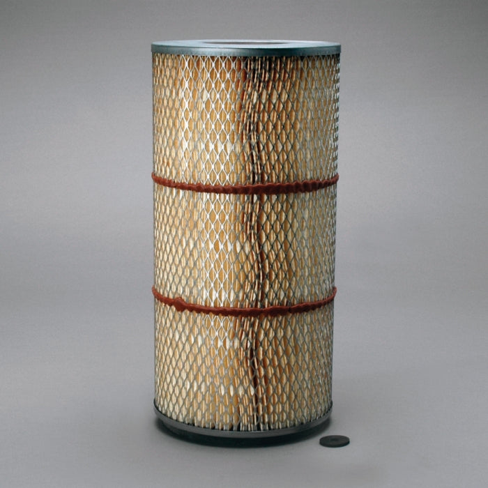 Donaldson Air Filter P607360