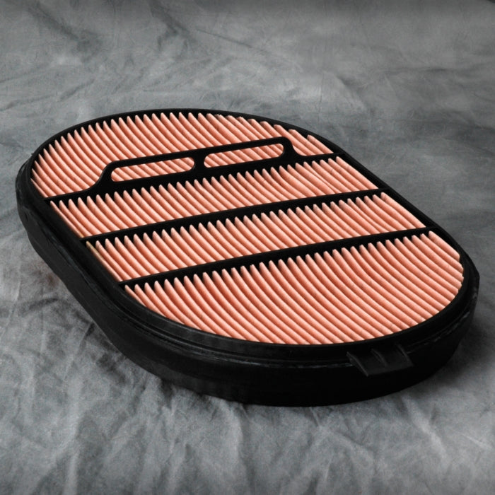 Donaldson Air Filter P607557
