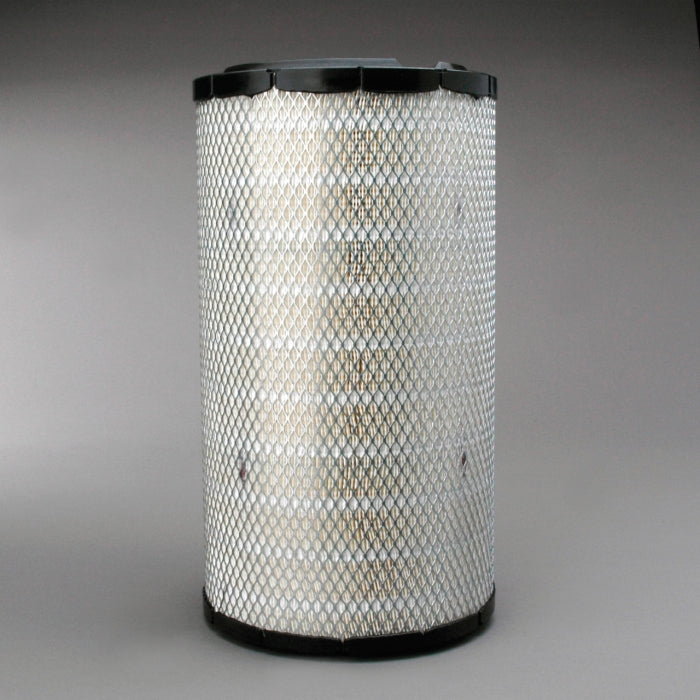 Donaldson Air Filter P611856