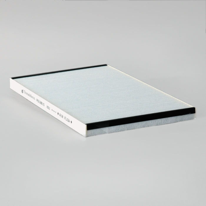 Donaldson Air Filter P612815