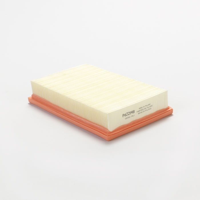 Donaldson Air Filter P622148