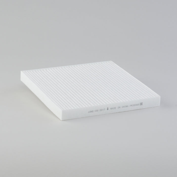 Donaldson Air Filter P636368