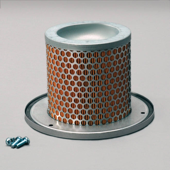 Donaldson Air Filter P783501