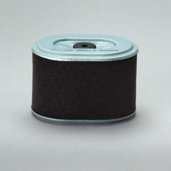 Donaldson Air Filter P786889