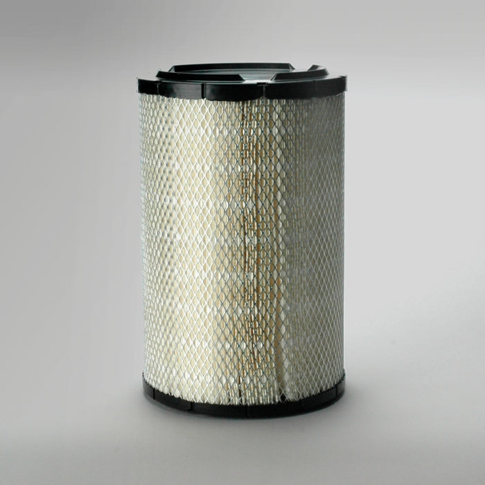 Donaldson Air Filter P821938